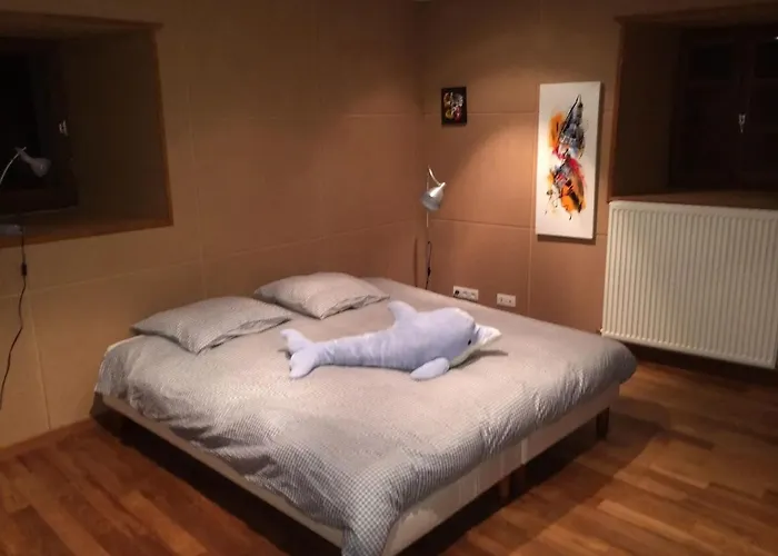 Villa Spacieuse Avec Piscine A